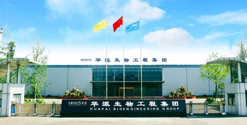 疫苗領域的革命 第三代核酸疫苗的崛起與重慶技術(shù)服務